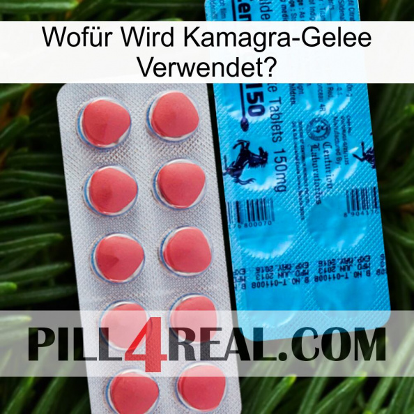 Wofür Wird Kamagra-Gelee Verwendet1 new14